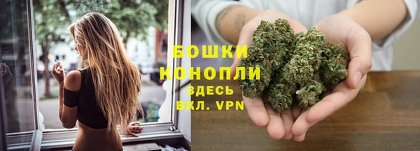 тгк Богородск