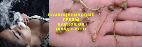 тгк Богородск