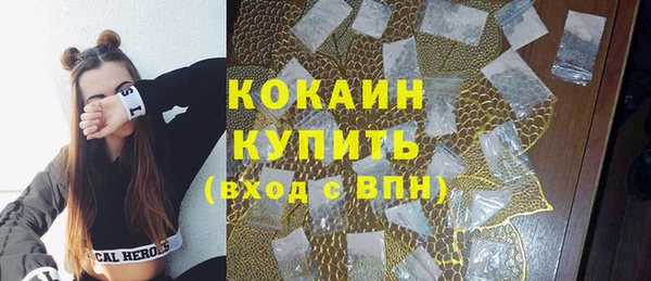 прущий лед Богородицк