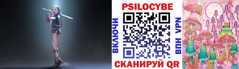 мега ТОР  Тотьма  Галлюциногенные грибы Psilocybe 